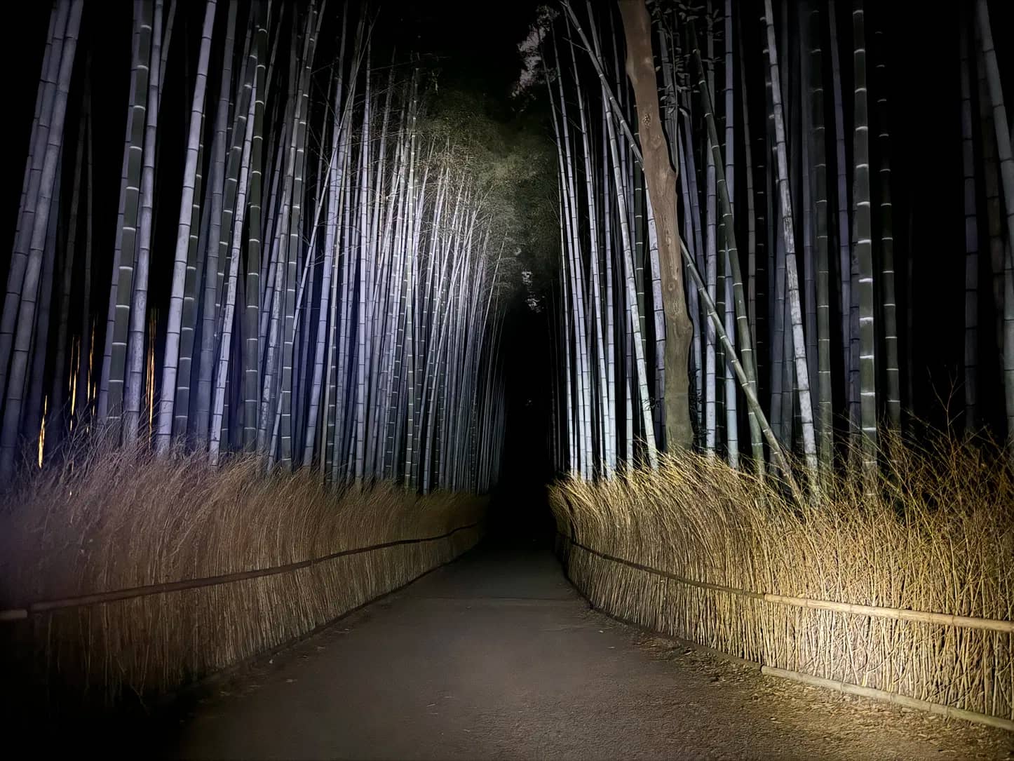 Kyoto Ghost Tour